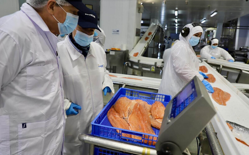 Blumar employees performing quality assurance on salmon fillets at the company's new processing plant