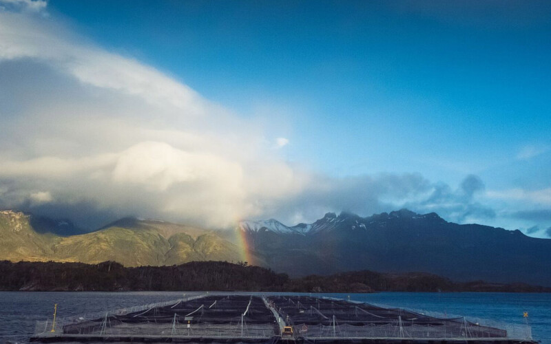 A Cermaq-owned salmon farm in Canada with a rainbow and mountains in the background.