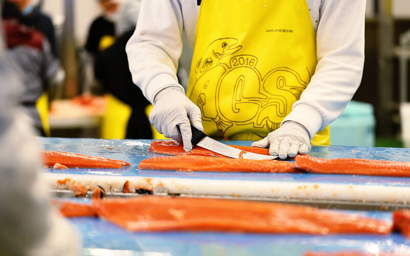 An Alaska Glacier Seafoods fish-cutter at work