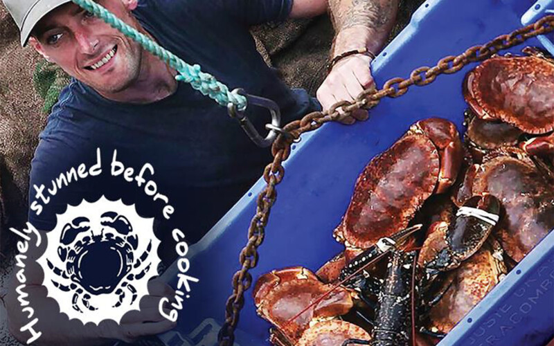 A Blue Sea Food Company handling a container of crabs and lobster