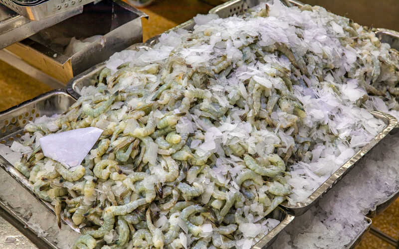 A pile of frozen shrimp in a shrimp processing plant in Vietnam