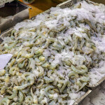 A pile of frozen shrimp in a shrimp processing plant in Vietnam