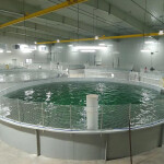Salmon RAS tanks at AquaBounty's Prince Edward Island-based recirculating aquaculture system facility