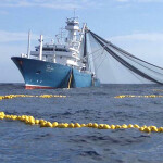 An Inpesca tuna-fishing vessel in the Indian Ocean