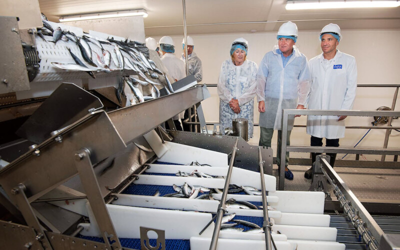 Machinery in operation as people look on at Myton Food Group's new fish-freezing center
