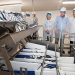 Machinery in operation as people look on at Myton Food Group's new fish-freezing center