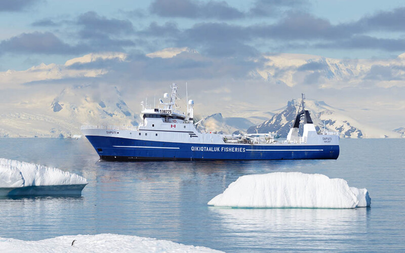 The Qikiqtaaluk Fisheries Corporation vessel Saputi on the water near icebergs