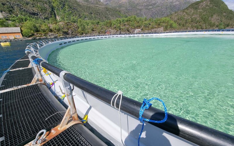 Aquaculture equipment made by FiiZK