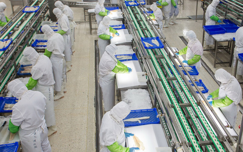 A Chinese seafood-processing operation