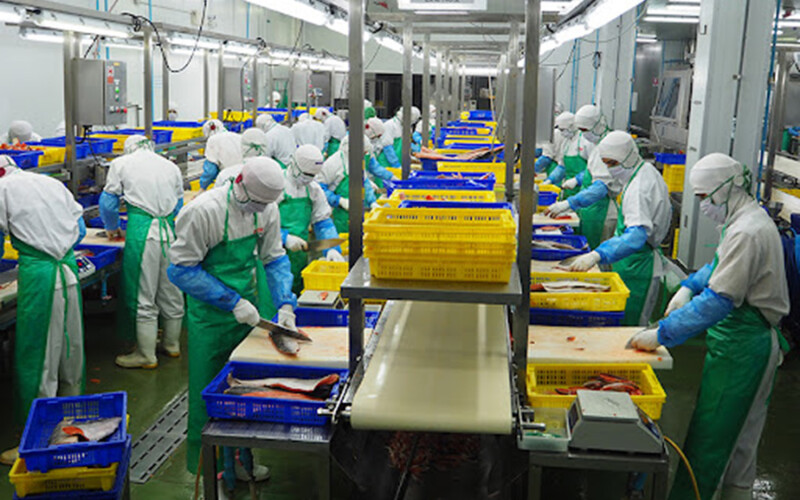Fish processing at Nissui's Thailand subsidiary