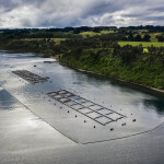 A Salmones Camanchaca farm