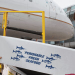 Two airport employees offload a seafood shipment from a plane