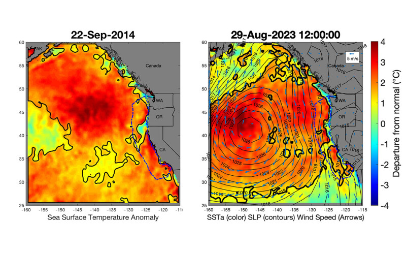 A marine heatwave in the Northeast Pacific Ocean known as the "blob"