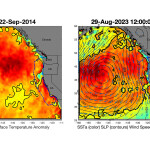 A marine heatwave in the Northeast Pacific Ocean known as the "blob"