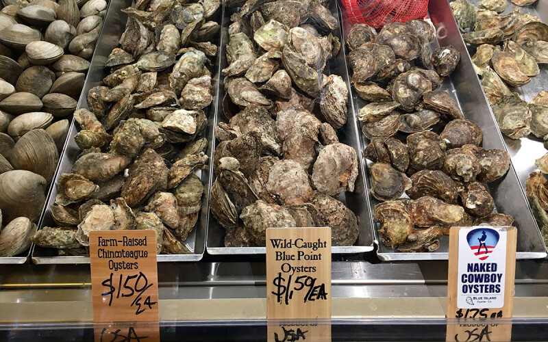 An array of oysters for sale in a U.S.-based seafood market
