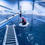 An AKVA Group employee working on a land-based aquaculture facility