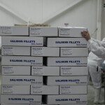 A Nova Austral employee hauling shipments of salmon fillets