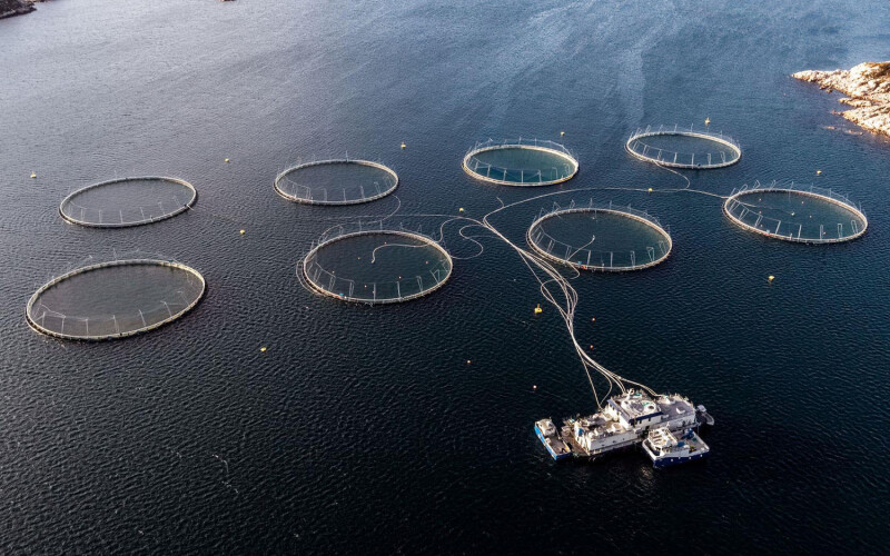 An aerial view of one of Norcod's cod farming operations.