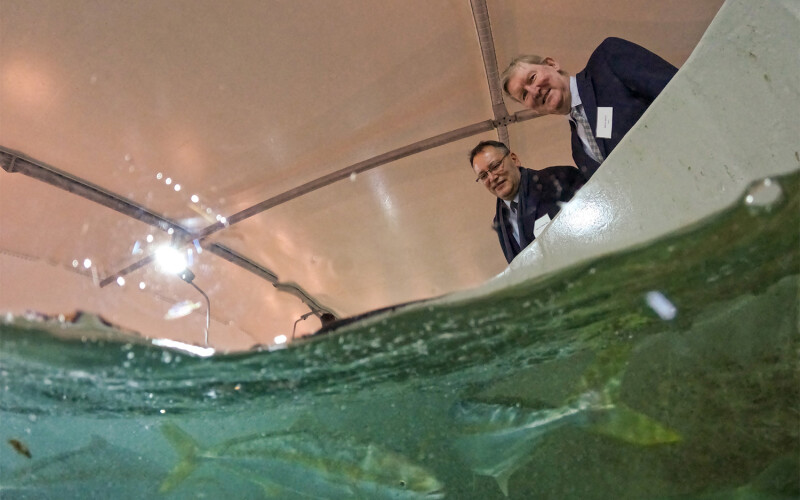 New Zealand Minister of Parliament Shane Reti and NIWA Chairman Barry Harris looking into the tank of the recently opened kingfish recirculating aquaculture system