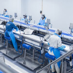 Lerøy employees working at the firm's upgraded processing facility in Båtsfjord, Norway