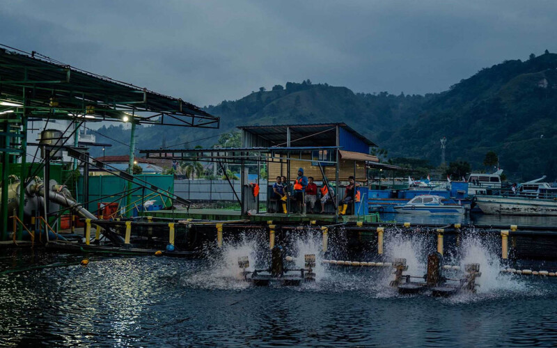 A Regal Springs farm