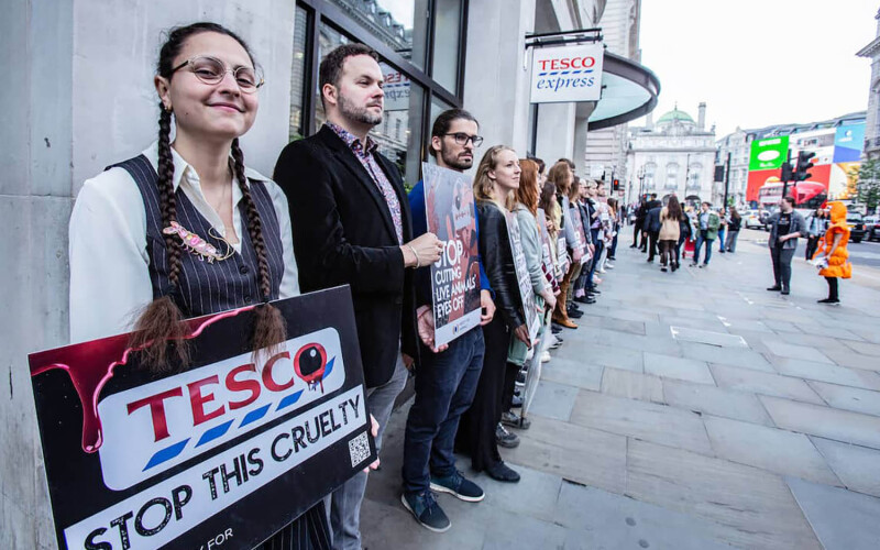 Mercy for Animals protestors outside of a Tesco location with signs decrying cruel animal-slaughter methods