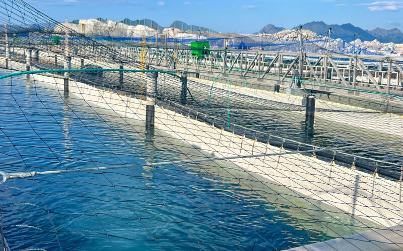 Gigante Salmon's facility in Rødøy, Norway