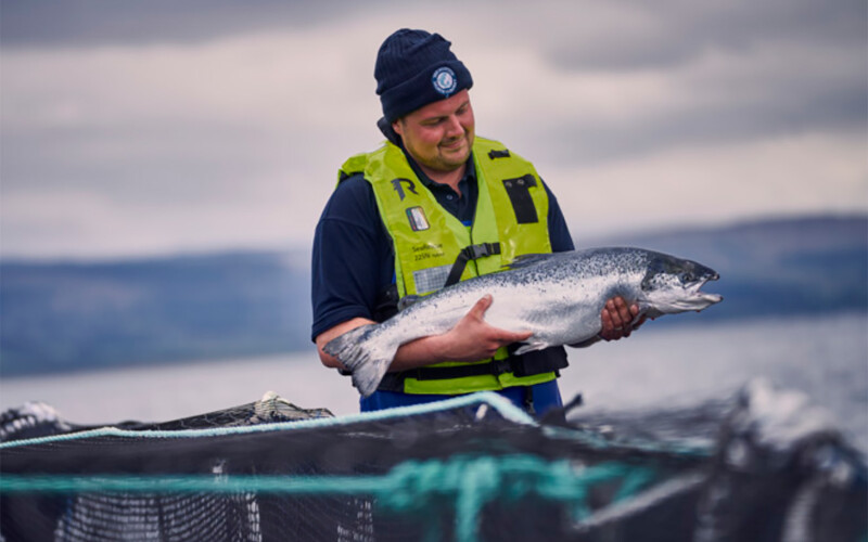 A Bakkafrost farmer holding one of the company's farmed salmon.