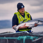 A Bakkafrost farmer holding one of the company's farmed salmon.