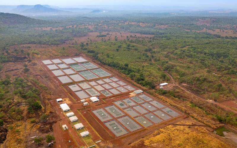 A tilapia-breeding center in Brazil