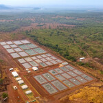 A tilapia-breeding center in Brazil