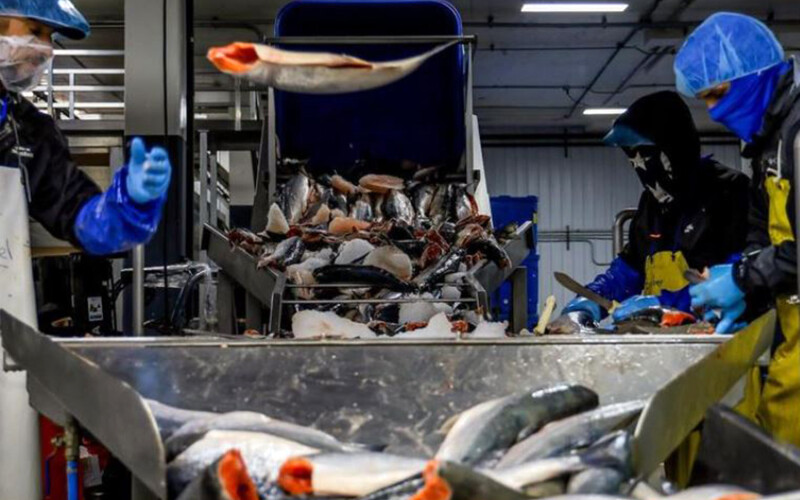 Whittier Seafood's processing facility