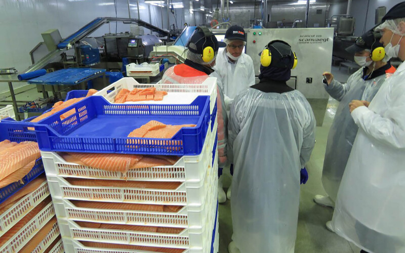 Nova Austral employees working at the firm's Porvenir processing plant
