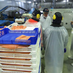 Nova Austral employees working at the firm's Porvenir processing plant