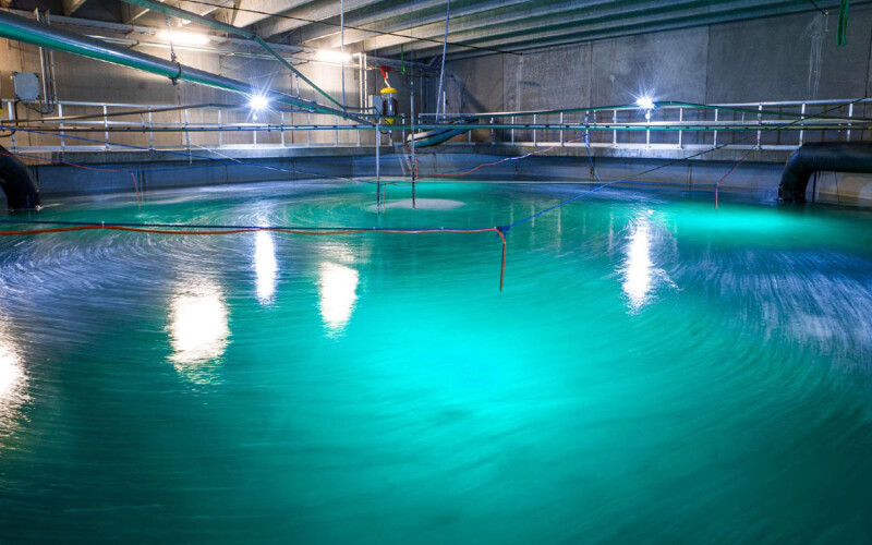 A recirculating aquaculture system tank at Biofish's facility in Norway