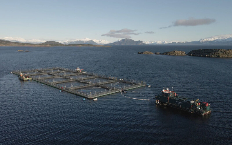 A Cermaq Chile farm in the Magallanes region