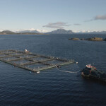 A Cermaq Chile farm in the Magallanes region
