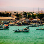 Fishing boats weaving through the busy port of Bosaso in Somalia