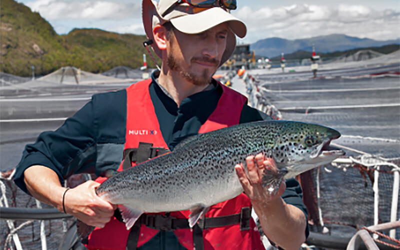 A Multi X farmer holding a salmon grown on one of the company's farms