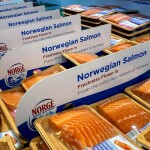 A supermarket display case filled with packaged Norwegian salmon, with a sign that says "Norwegian salmon, freshness flown in"