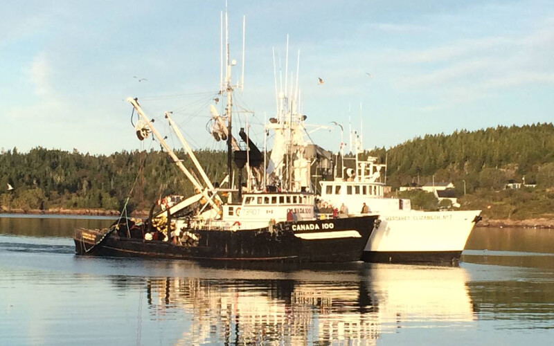 A black fishing vessel and a white fishing vessel on calm waters in New Brunswick, Canada