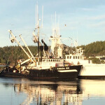 A black fishing vessel and a white fishing vessel on calm waters in New Brunswick, Canada