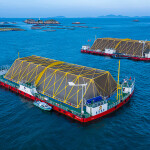 Mariculture platforms floating in the water in Dinghai Bay, with islands in the background.