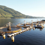 An aerial view of multiple aquaculture net pens floating in the water with mountains in the background