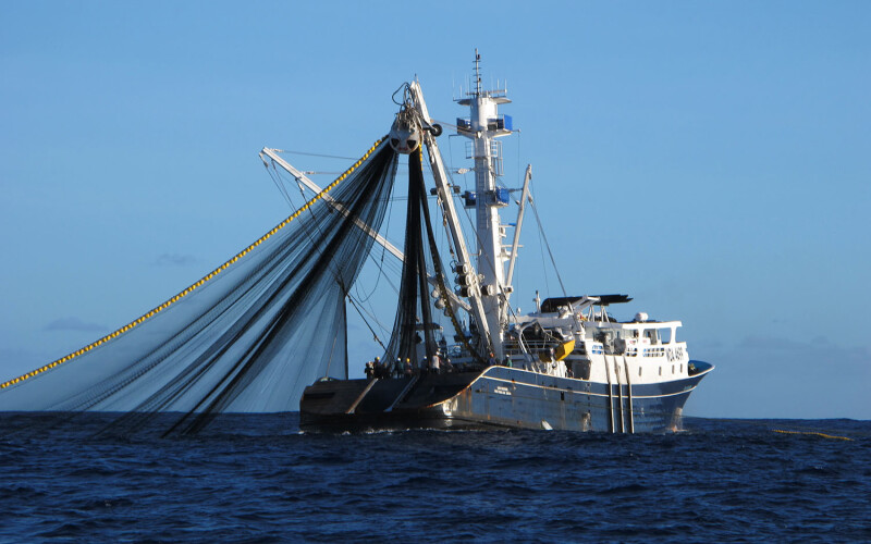 A purse seine tuna fishing vessel at sea with its net extended