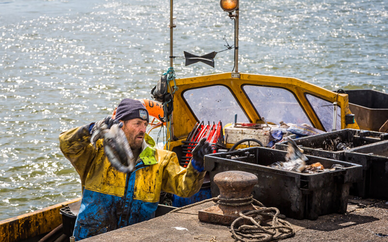 A U.K. fisherman offloading catch off the coast of Dorset