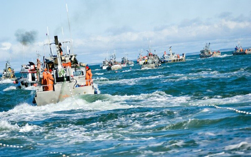 A dozen salmon-fishing boats fishing in Bristol Bay, Alaska