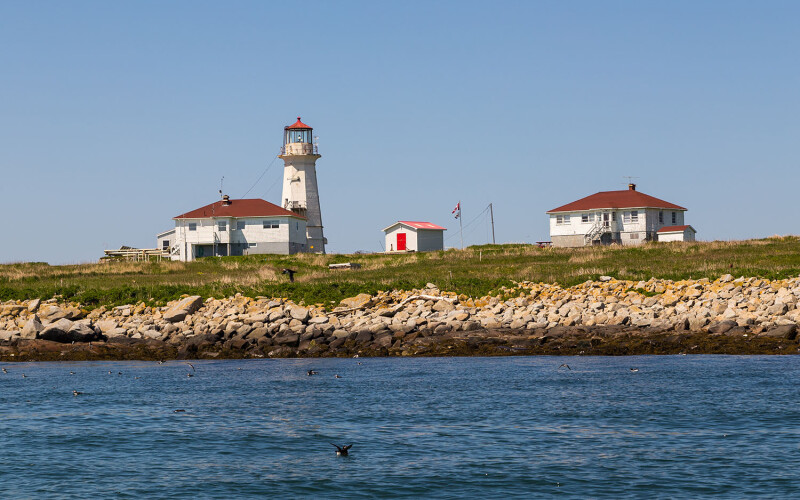 A lighthouse and outbuildings on the rocky coast of Machias Seal Island