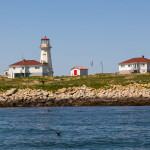 A lighthouse and outbuildings on the rocky coast of Machias Seal Island