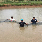 Five tilapia farmers hold a net as they stand in a row in light brown water.